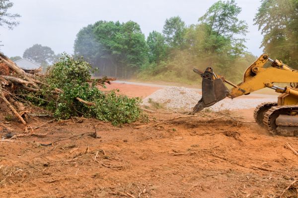 Cost of Forestry Mulching Service in Titusville