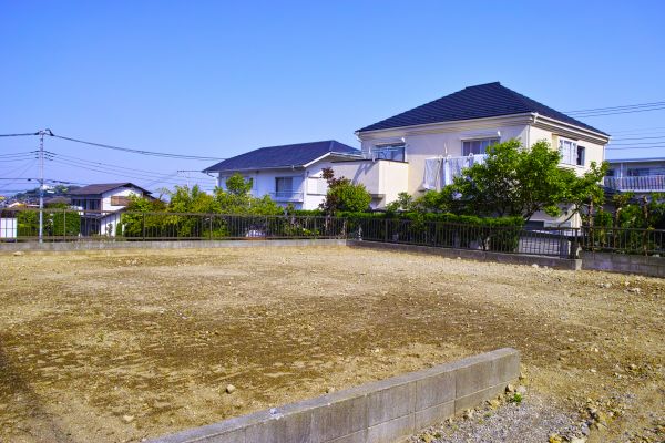 Cost of Lot Clearing Service in Titusville