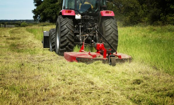 Brush Clearing Service in Titusville