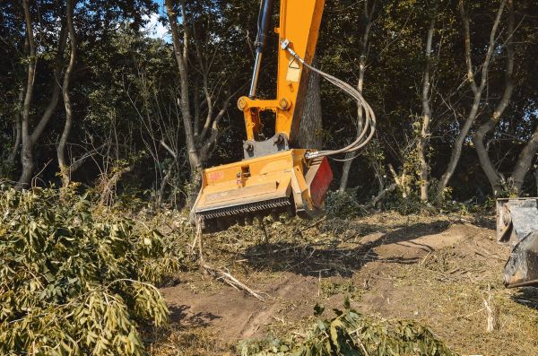 Brush Removal Service in Titusville