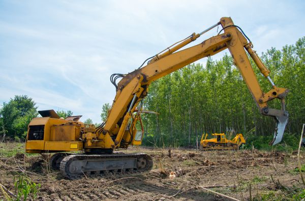 Cost of Farm Clearing in Titusville