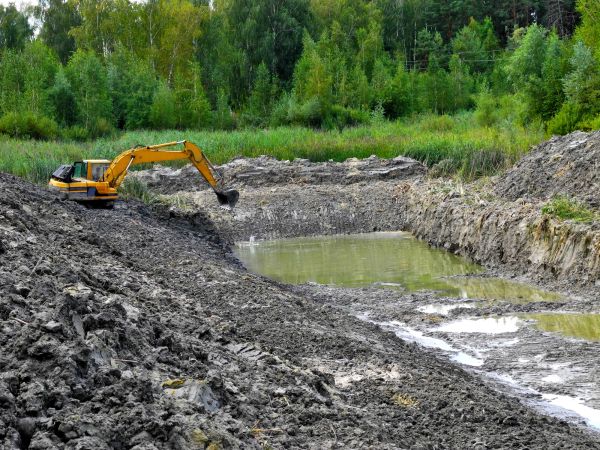 Cost of Lake Lot Clearing in Titusville