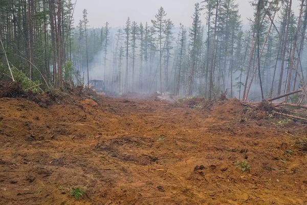 Cost of Hill Clearing in Titusville