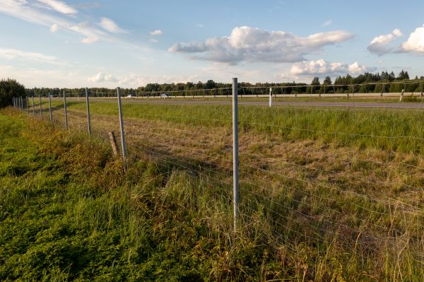 Cost of Property Line Clearing in Titusville