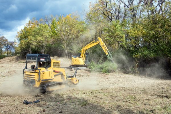 Cost of Terrain Clearing in Titusville