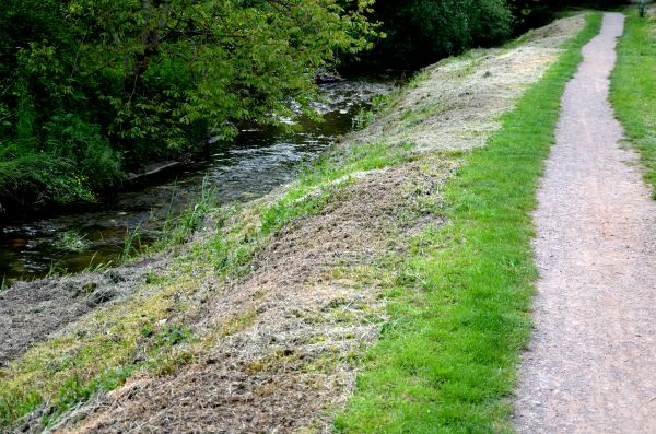 Cost of Trail Cutting in Titusville